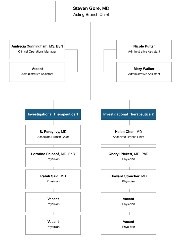 Idb Organizational Chart