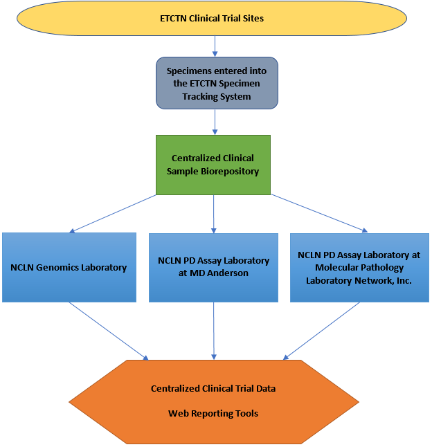 The National Clinical Laboratory Network (NCLN) will offer validated assays following harmonized SOPs while implementing uniform assay workflow, instrumentation, and data analysis across network labs.