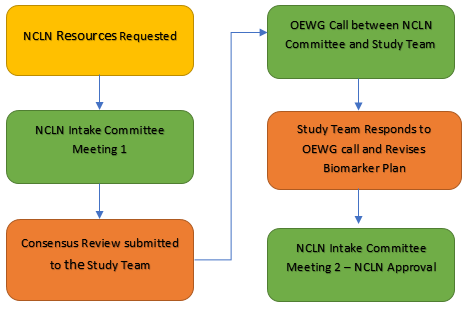 Flowchart depicting investigator access to NCLN