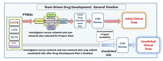 Team-Driven Drug Development: General Timeline